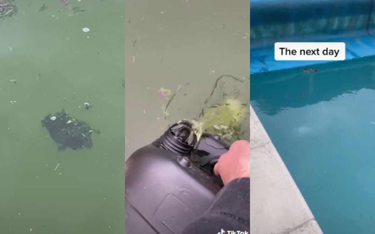 Usuario muestra cómo luce una alberca antes de su tratamiento (TikTok).