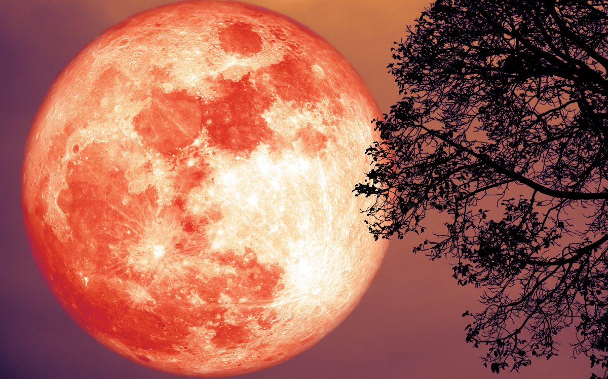 Así podrás ver la Superluna de Fresa 2021 (Shutterstock).