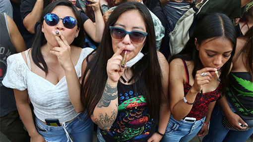 Corte definirá el lunes prohibición a uso recreativo de la mariguana