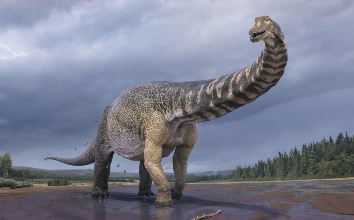 dinosaurios sangre caliente