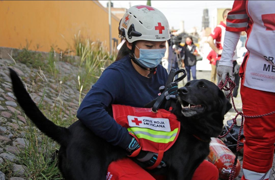 Paramédicos de la Cruz Roja Puebla realizan simulacro | Agencia Enfoque