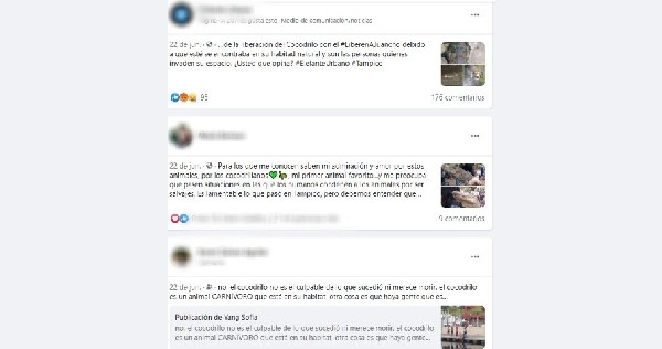 Aseguran que “Juancho” actuó simplemente por instinto y fue la irresponsabilidad de la víctima.