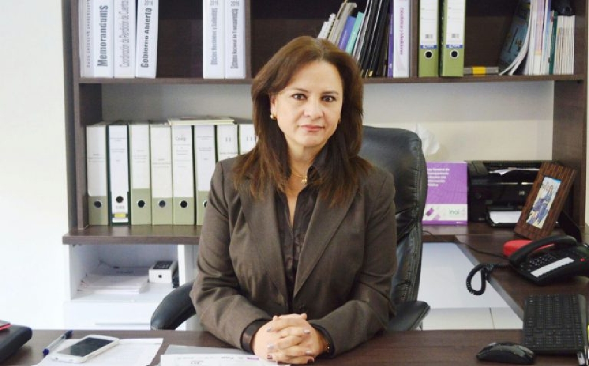 Julieta del Río Venegas, comisionada del INAI, pidió reforzar la transparencia tras las elecciones. (Especial)