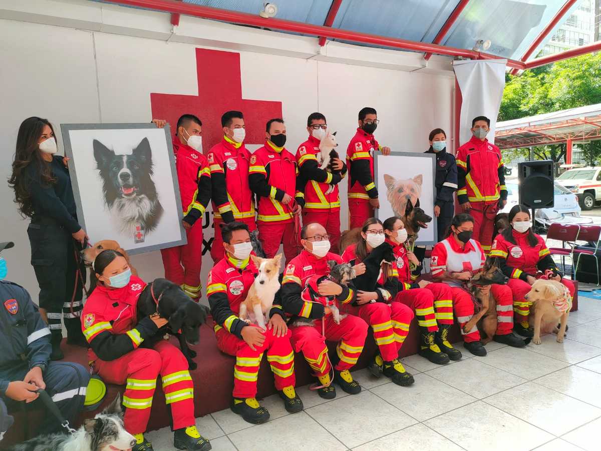 En CdMx, Cruz Roja rinde homenaje a Athos y Thango, perritos rescatistas