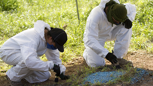 Organismos lanzan plataforma para la identificación forense en México