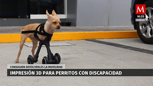 Impresión 3D para perritos con discapacidad