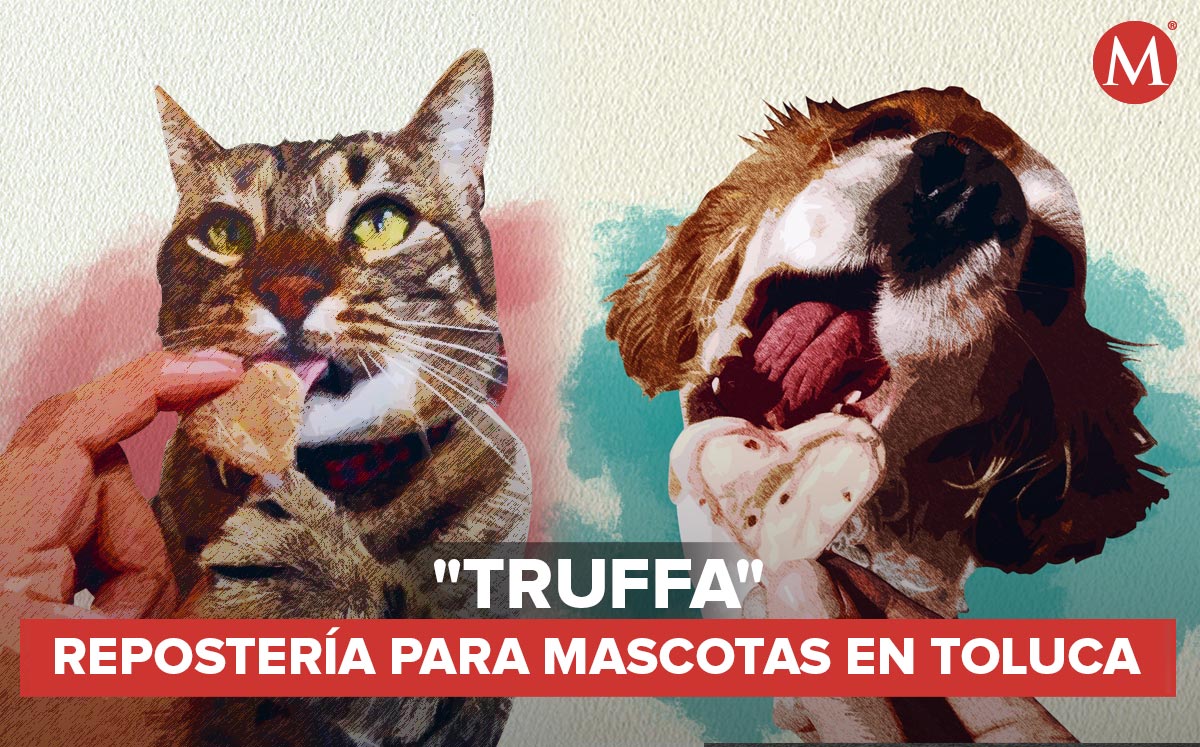Truffa | Especial