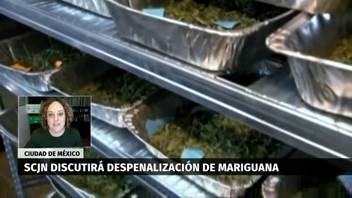 Amaya Ordorika, Emilio Rascón. La despenalización de la cannabis