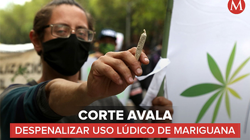 Corte avala despenalización de la mariguana
