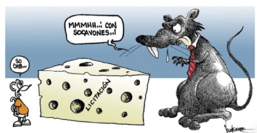 Fauna endémica