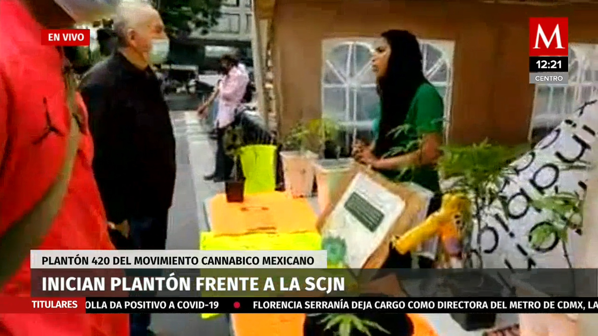 Inician plantón movimiento cannábico mexicano frente a la SCJN