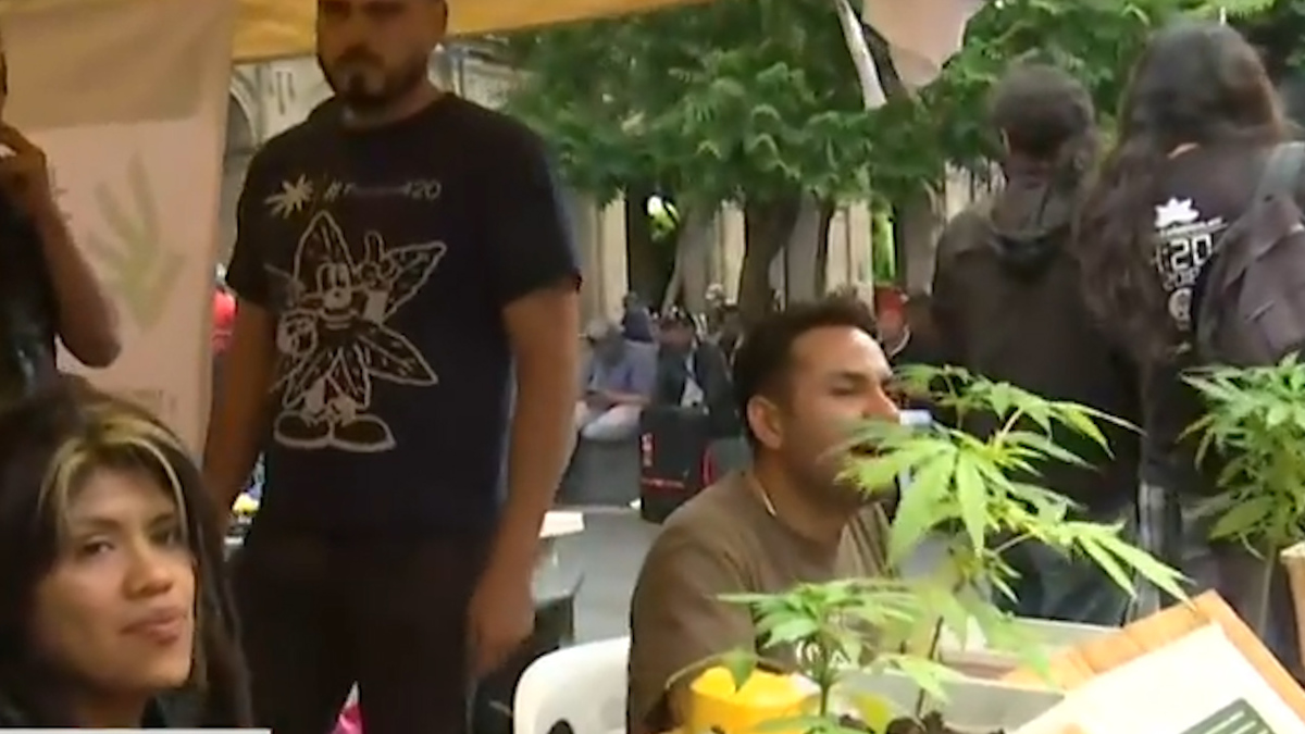 Integrantes del Plantón 420, celebran determinación de la SCJN