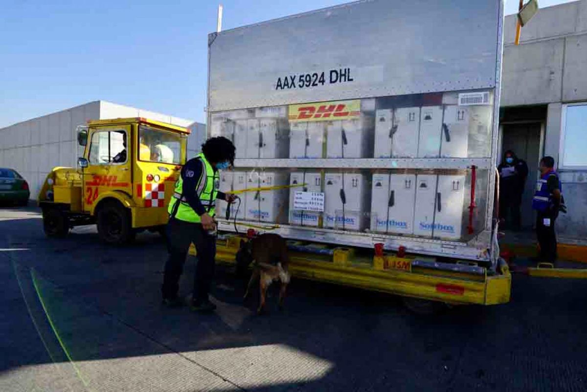 Esta semana llegarán 3 millones 104 mil 230 vacunas a México, informó Hugo López Gatell. (Cuartoscuro)
