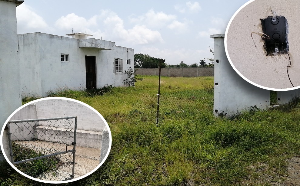 Tampico esta dispuesta a aportar para reactivación de UMA (Pablo Reyes)