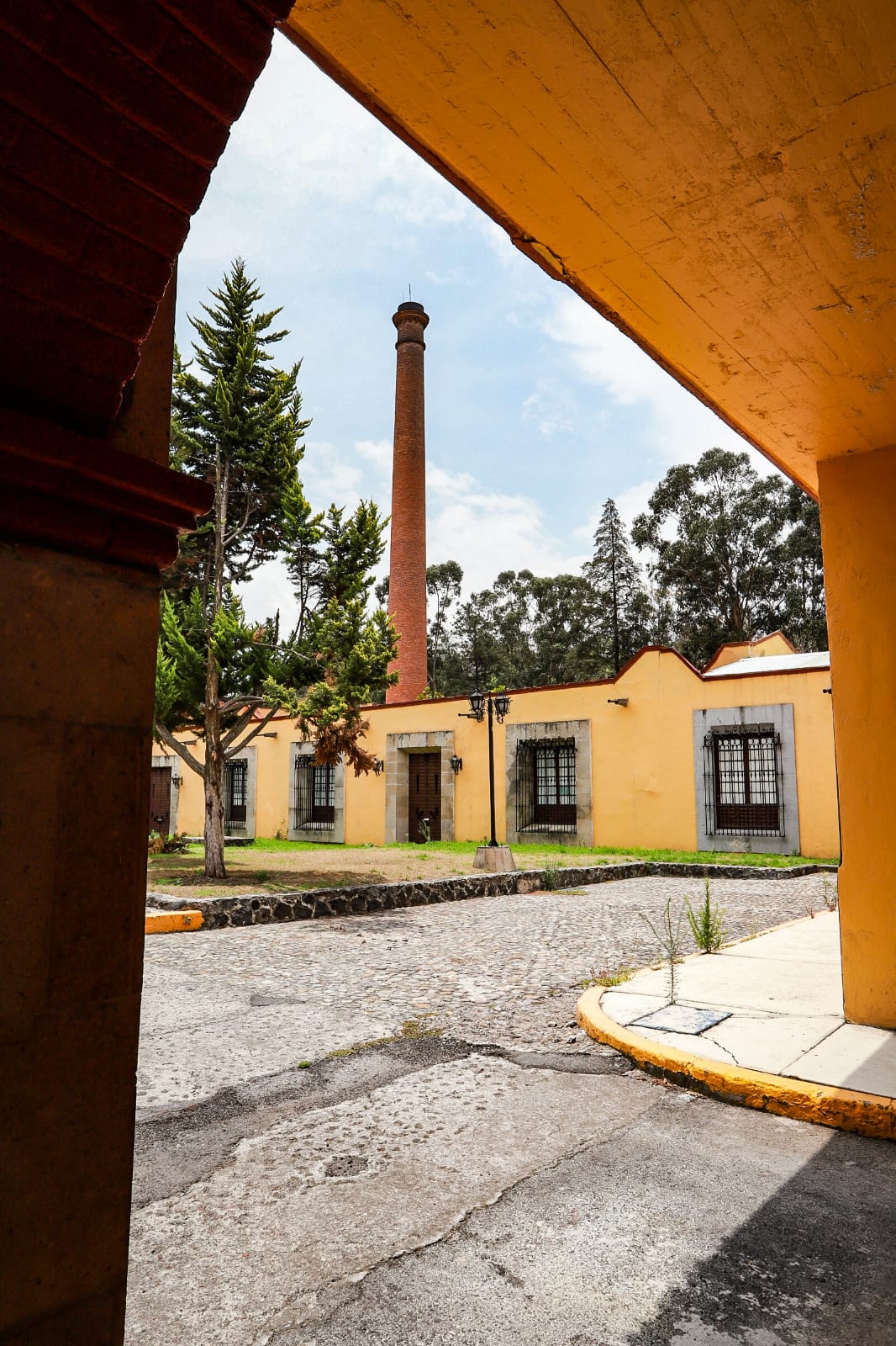 El Bosque de Chapultepec busca seguir siendo un espacio de convivencia familiar | Especial