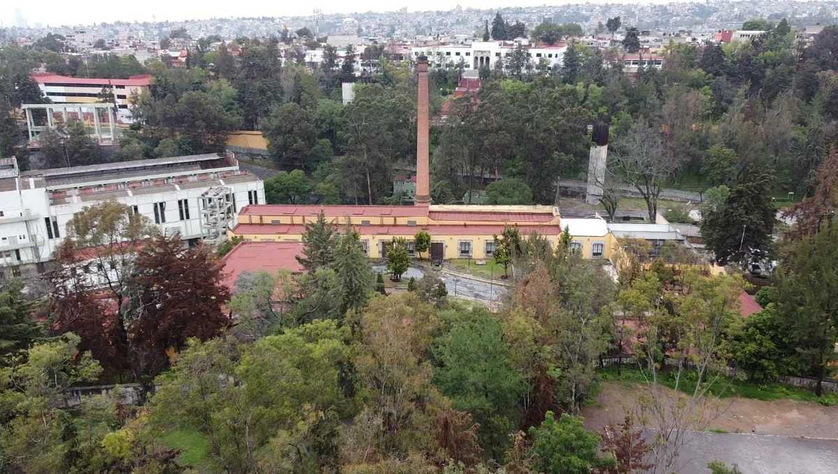 La cuarta sección contará con actividades culturales y educativas | Especial