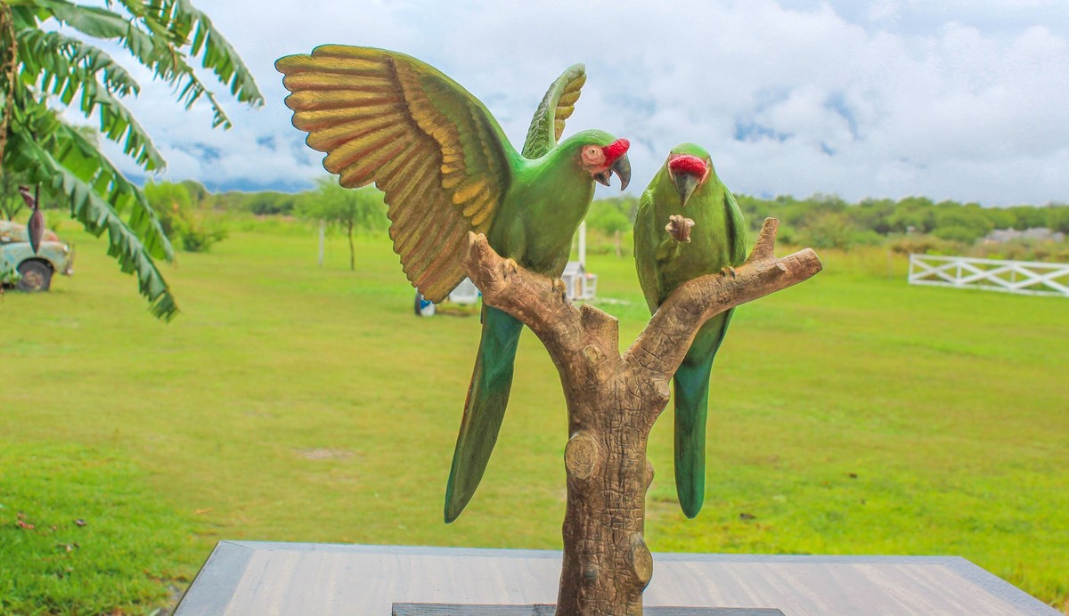 Monumento a las guacamayas será construido en Jaumave, Tamaulipas. (Cortesía)