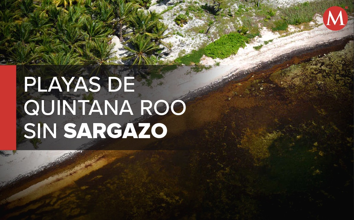 Las playas que no tienen sargazo en Quintana Roo. (Alejandro Vázquez)