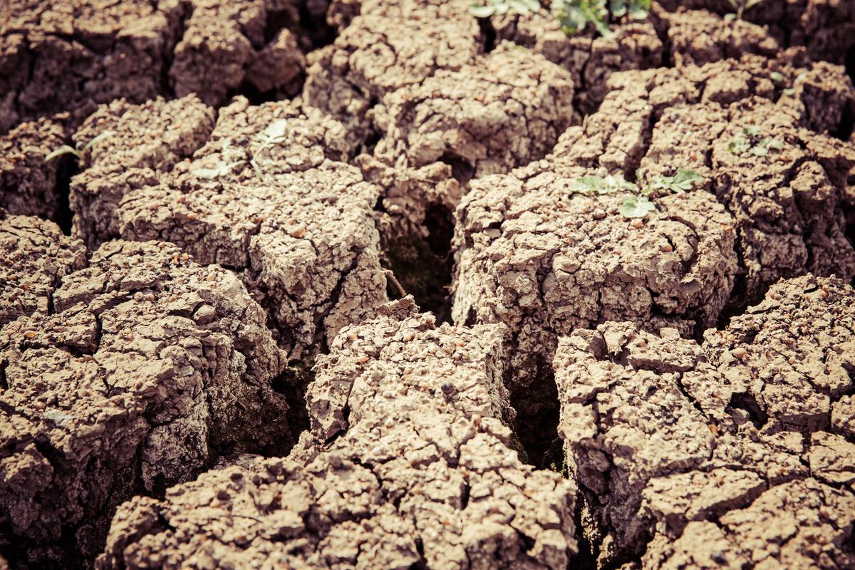 “Desde el día 13 de mayo metieron su denuncia de las grietas del Río Papalotla". | Especial