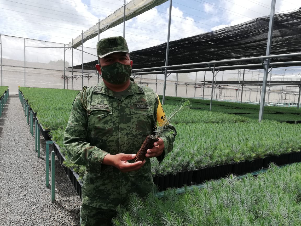Vivero forestal militar Zimapán, Hidalgo. (Aarón García)