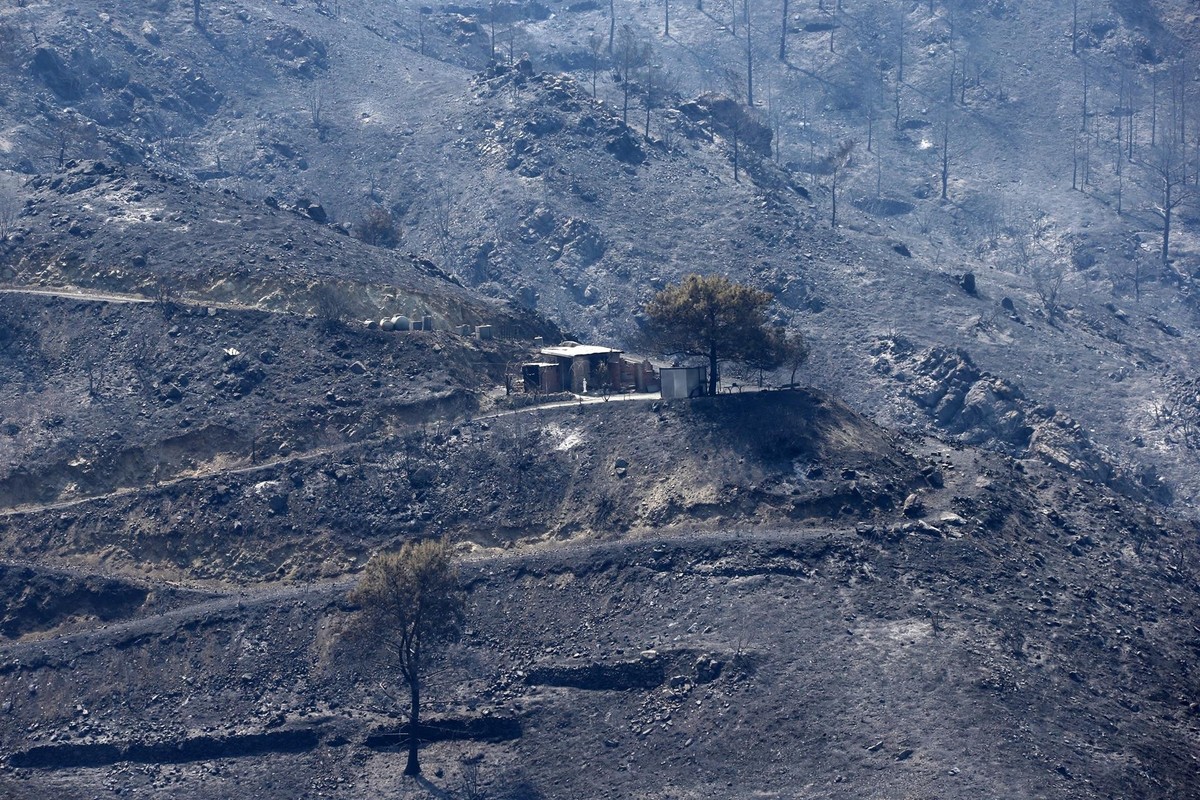 Chipre vive el peor incendio de toda su historia. (EFE)