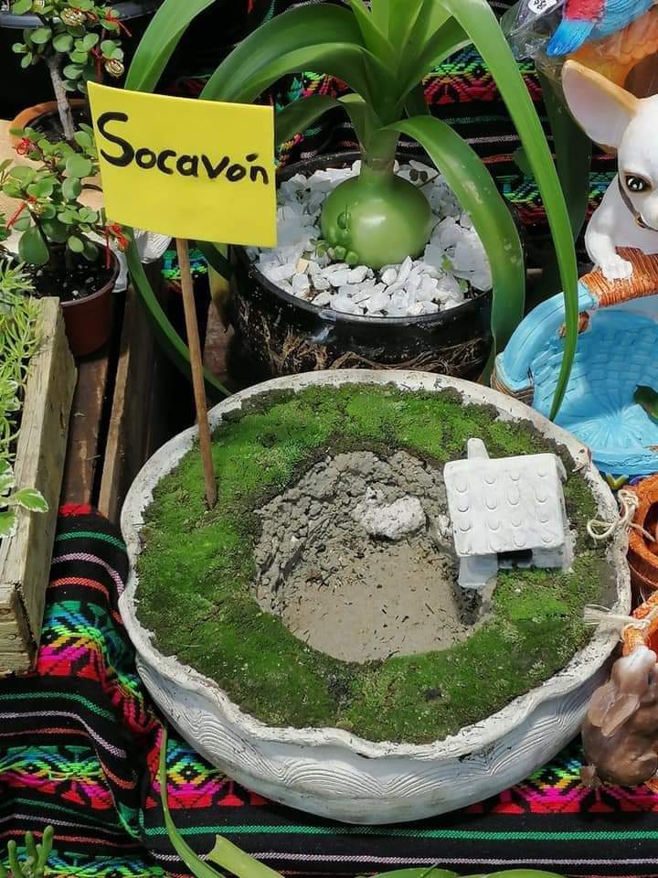 Surge la 'maceta del socavón' en Atlixco | Especial