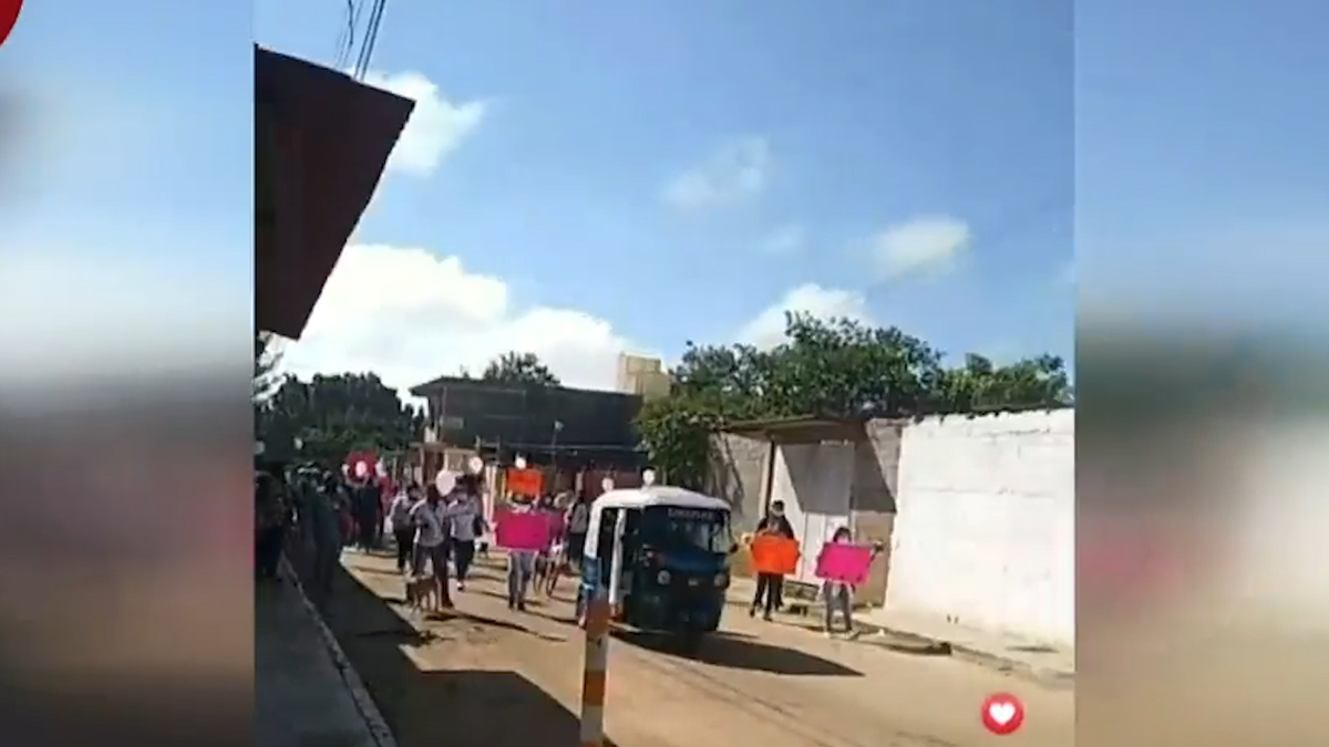Denuncian envenenamiento de ocho perros en Oaxaca