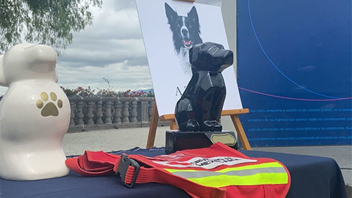Detienen a presunto asesino de "Athos" y “Tango"