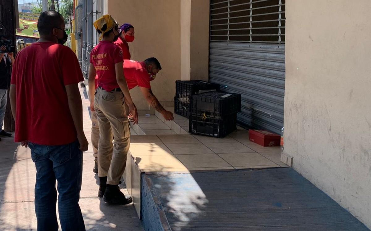 Perros abandonados en Monterrey son resguardados por Protección Civil. Foto: Especial.