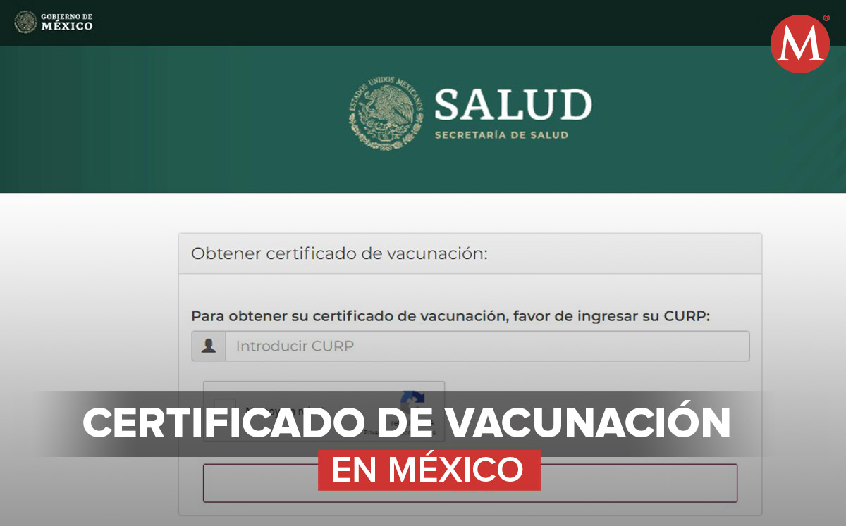 El certificado ya se encuentra disponible y el sitio comenzó a operar desde ayer. (Diseño: Mauricio Ledesma)