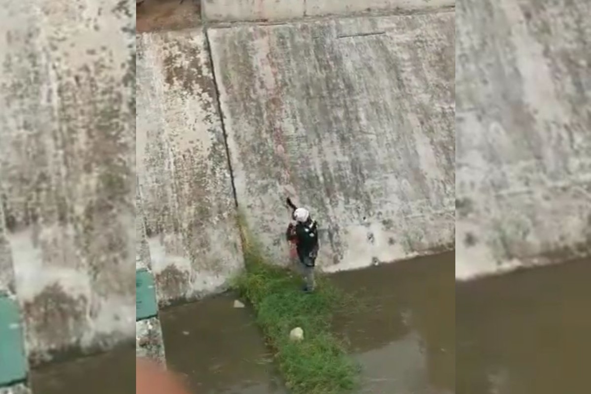 Rescatan a perrito de canal de Aztlán tras lluvias en Nuevo León. Foto: Especial