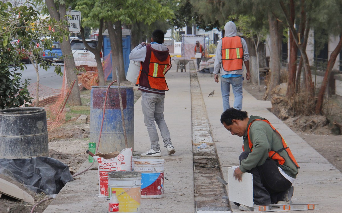 Trabajos realizados en el perímetro del Bosque Venustiano Carranza. (Manuel Guadarrama)