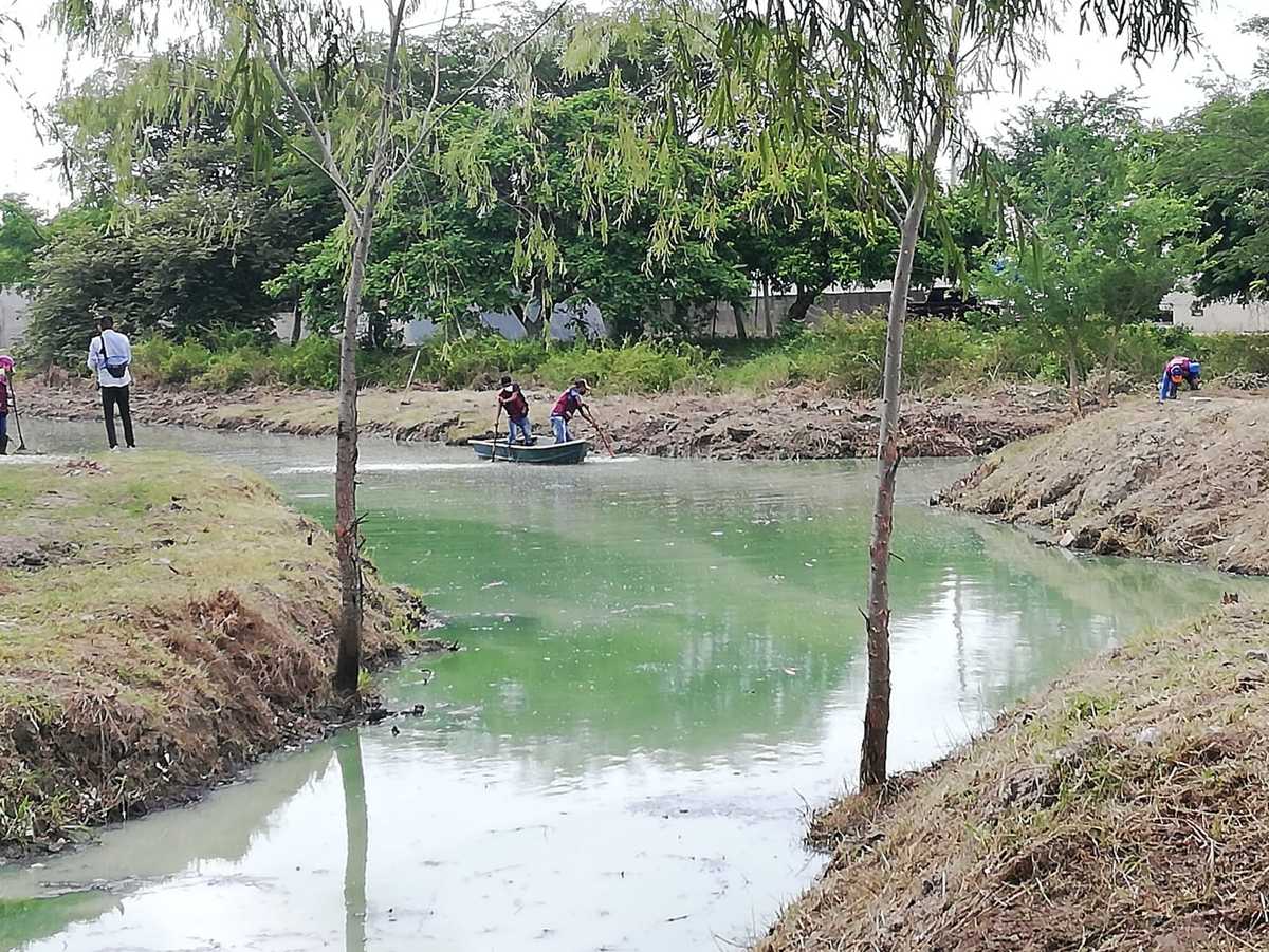Limpieza del Canal de Ciudad Madero