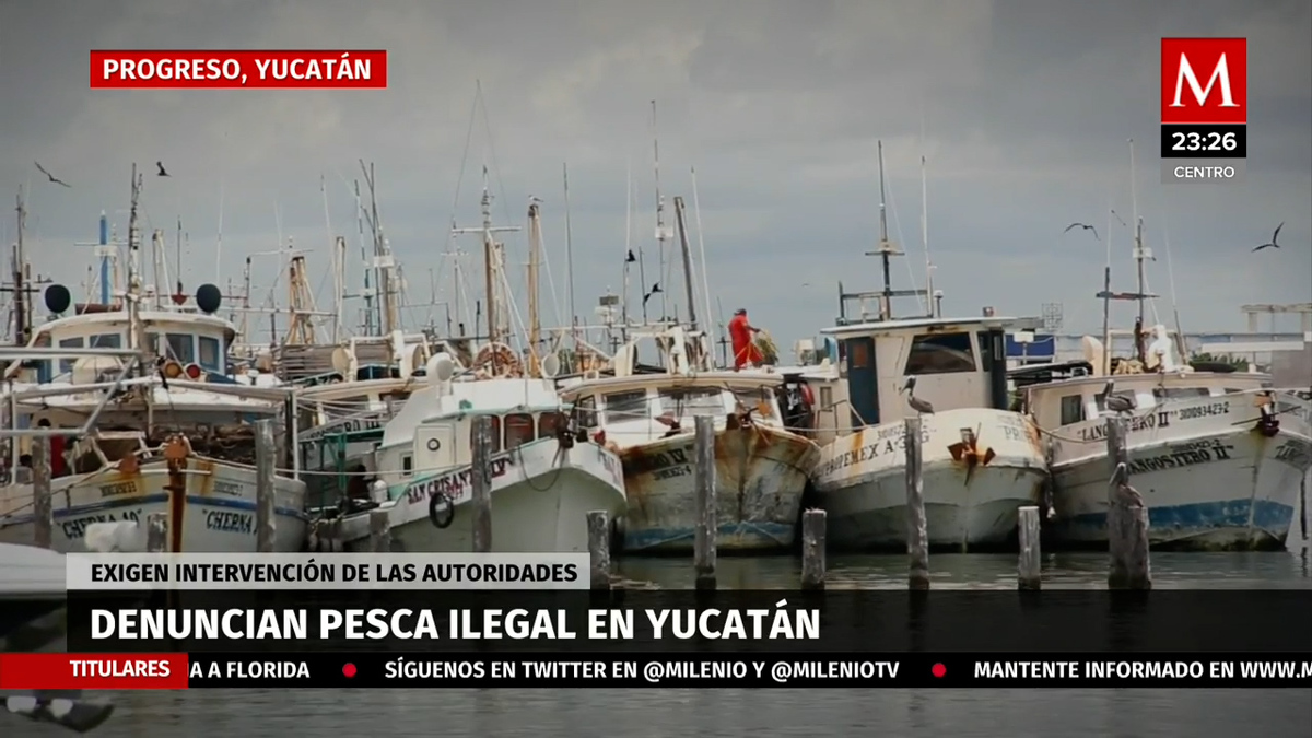 Pesca ilegal ya es un grave problema en Yucatán