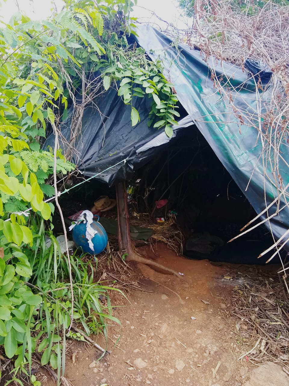 Las familias se encuentran viviendo en campamentos, pues el grupo criminal no les permite regresar a sus hogares. (Rogelio Agustín)