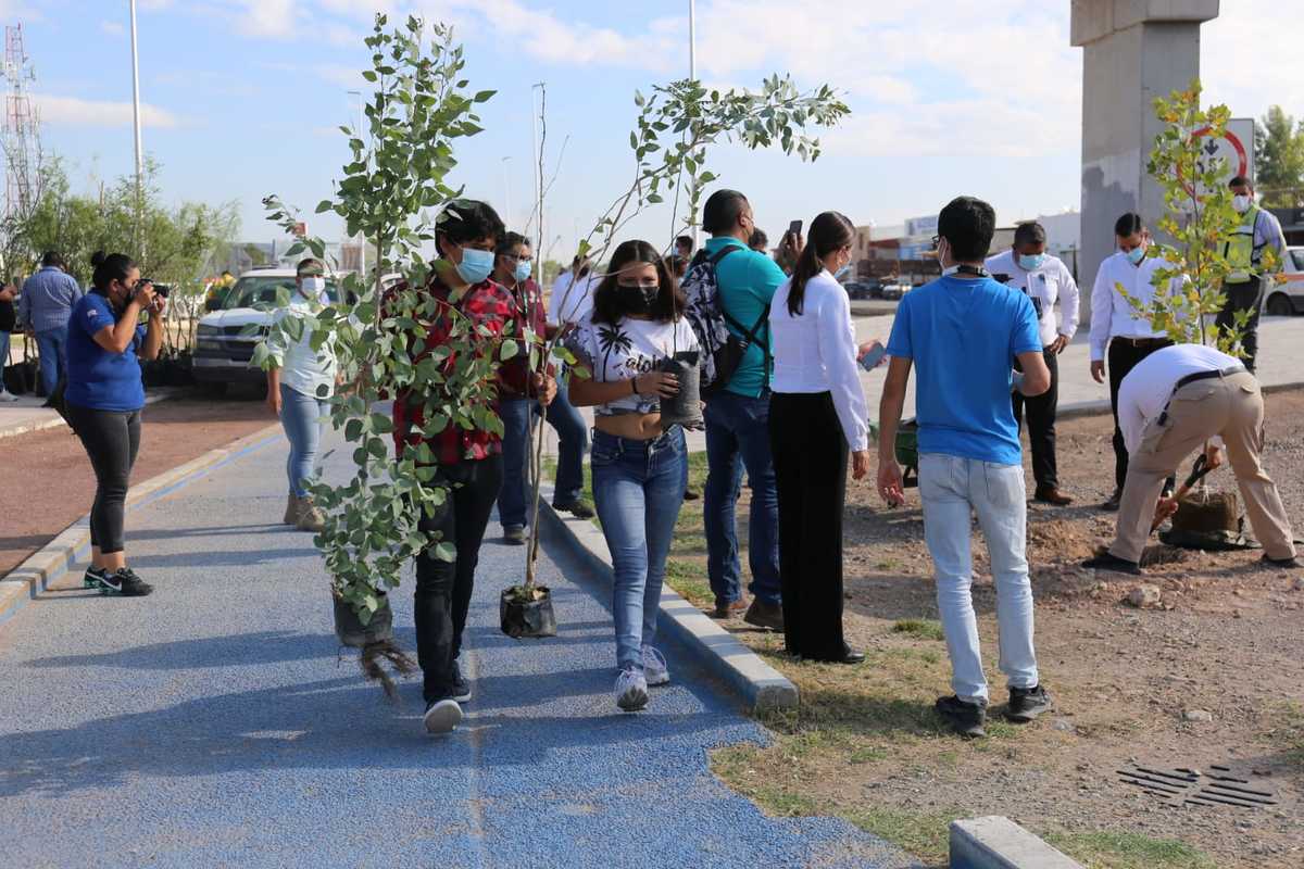 Actualmente llevan 3 mil árboles plantados en diferentes sectores de Gómez Palacio. | Rolando Riestra