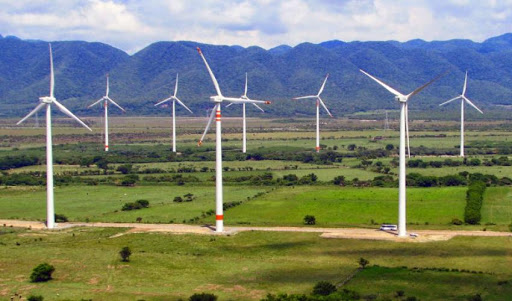 Empresarios en Tamaulipas colaboran con parques eólicos.