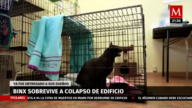 Aumenta a 79 cifra de víctimas por derrumbe de edificio en Miami; un gato fue rescatado
