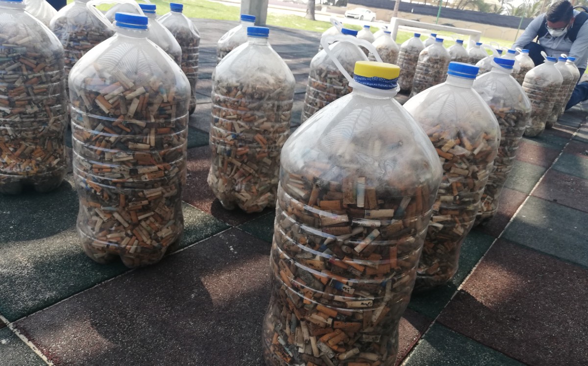 Colillas de cigarros recolectadas en playa Miramar. (Antonio Campos)