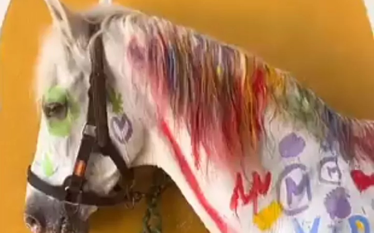 Critican curso de verano por dejar que niños pinten sobre piel de caballo. (Especial)