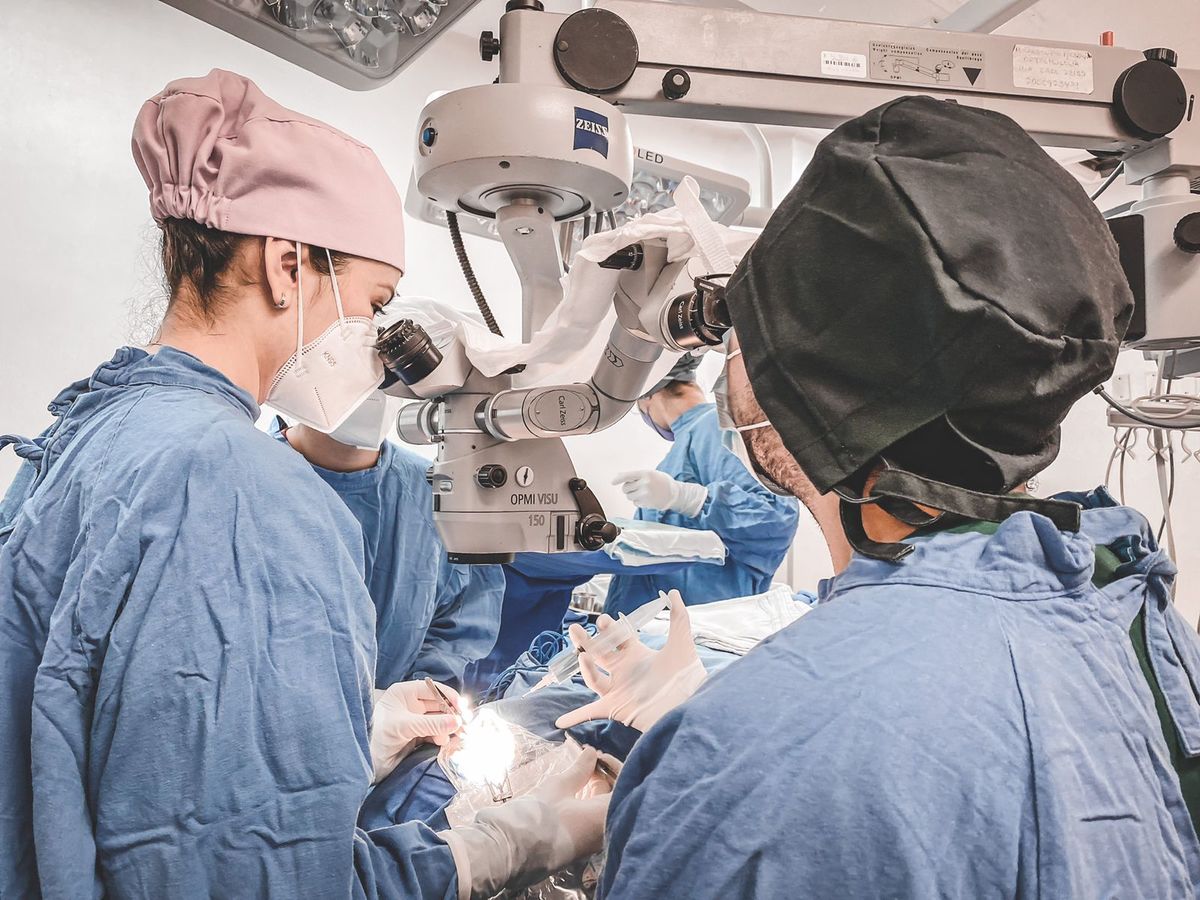 IMSS Puebla reactiva los trasplantes de córnea. (Especial)