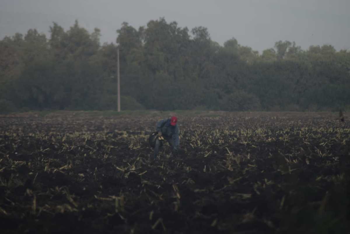 En el Valle del Mezquital predominan las actividades agrícolas. (Francisco Villeda)