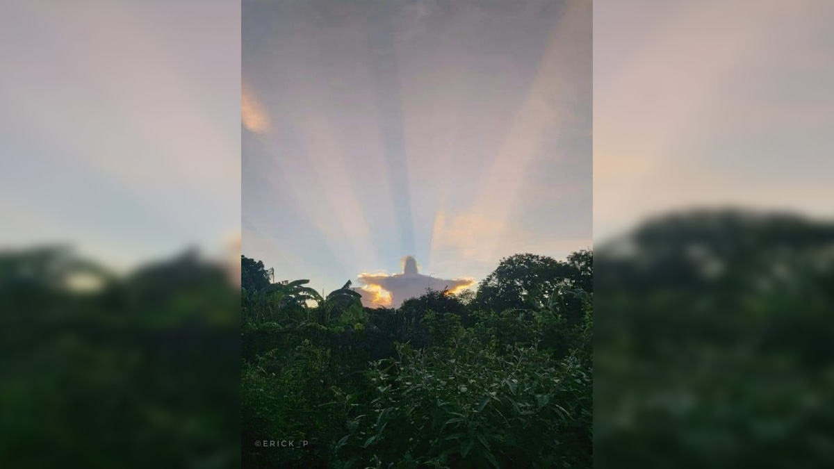 La imagen fue viralizada tras ser tomada en Yucatán. | Erick Pech