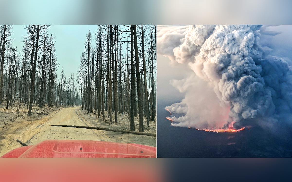 El incendio 'Bootleg' ya consumó 80 mil hectáreas de bosque en Oregón junto a la frontera con California. (Twitter)