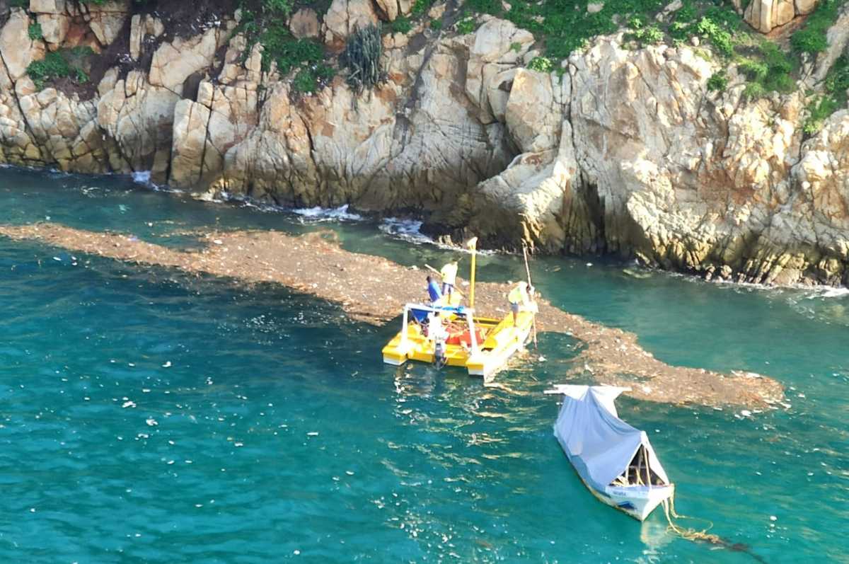 Retiran cerca de tres toneladas de lirio acuático en playas en Acapulco. (Javier Trujillo).