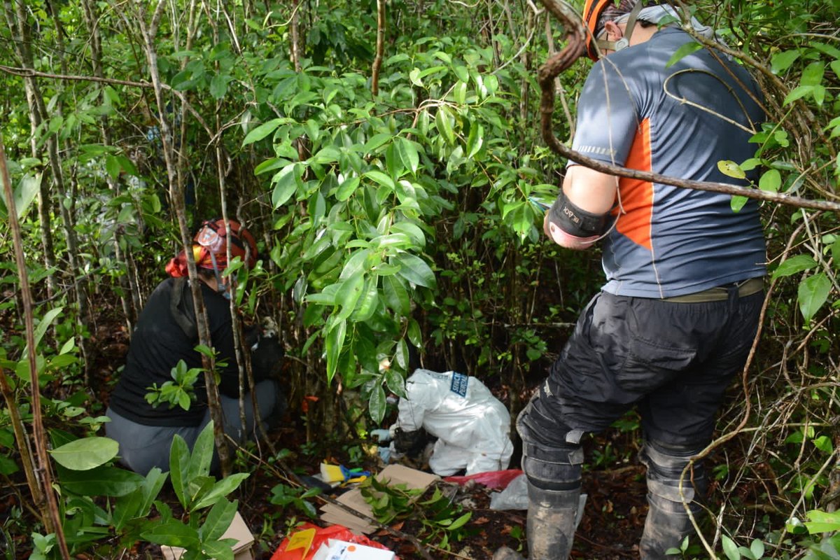 Los restos estaban en el ejido Alfredo V Bonfil. (@FGEQuintanaRoo)