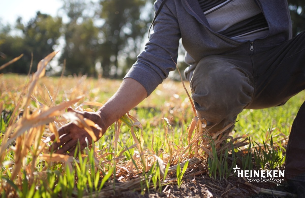 En 2021 confían en que la agricultura sustentable inspire a más emprendedores. Foto: Especial