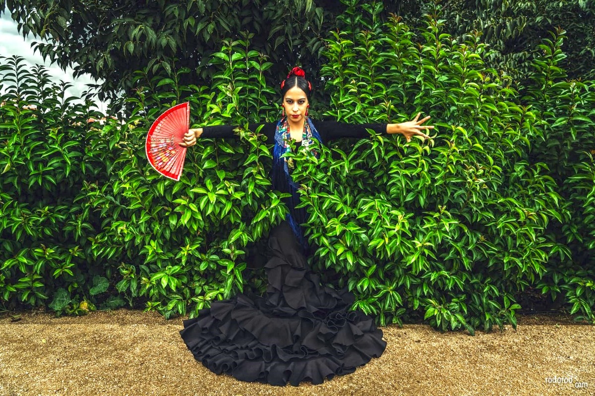 Grecia Reynoso bailarina de flamenco. ( Rodrigo Vazquez)