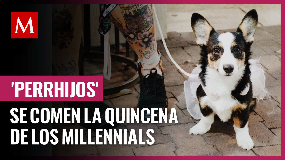 Mascotas se comen la quincena de los millennials