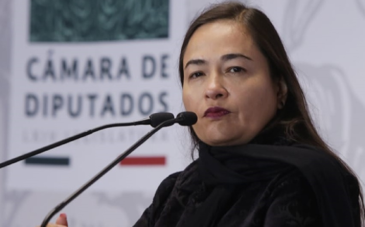 La legisladora Verónica Juárez durante una rueda de prensa en San Lázaro. (Diputados del PRD)